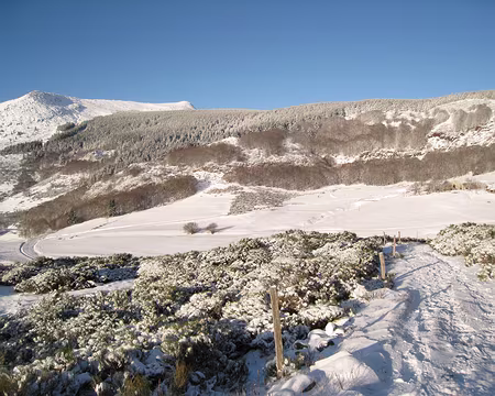 072 ... pour l'ascension...