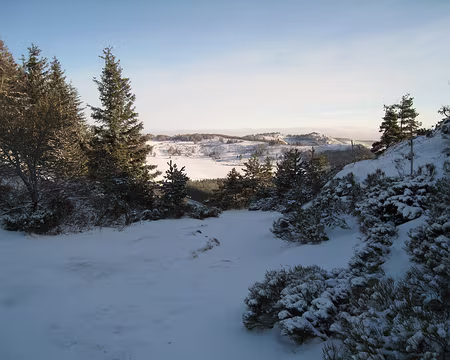 074 En montant vers le Mont Mézenc.