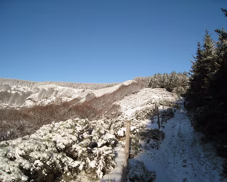 075 En montant vers le Mont Mézenc.