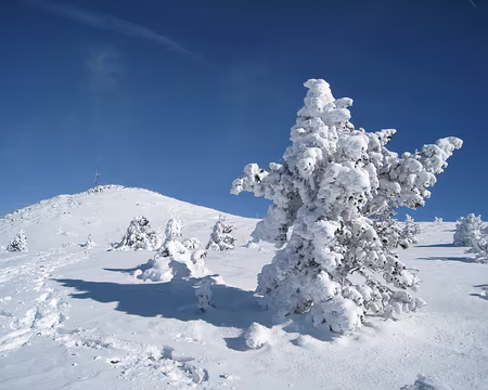 091z2270 Anthropomorphisme.