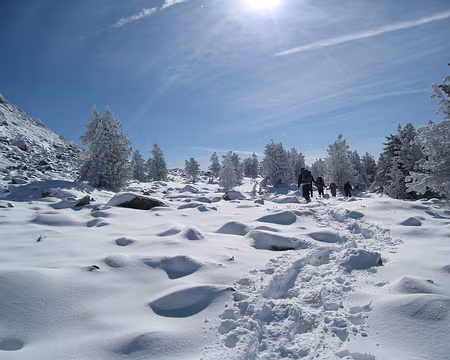 094 Au pied du mont Mézenc.