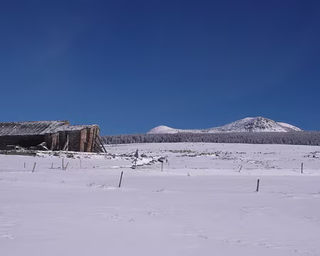 097 Le mont Mézenc, vu de l'ouest.