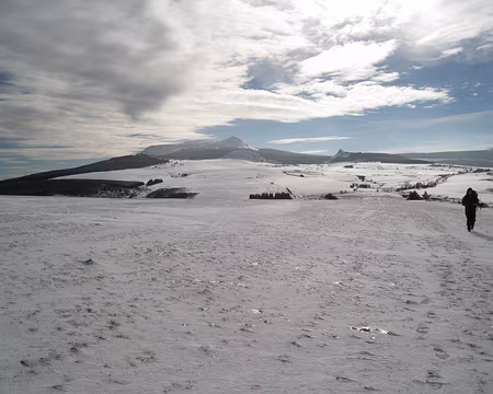 103 Un dernier regard vers le maître des lieux.