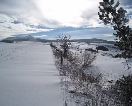 104 Un dernier regard vers le maître des lieux...