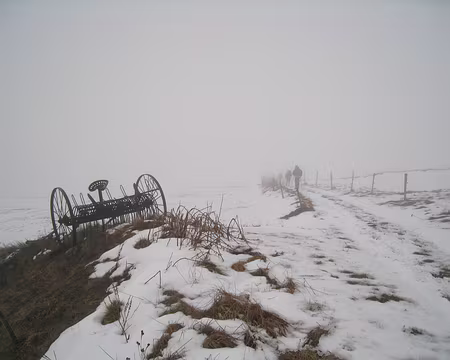 108 La campagne dans un jour blanc.