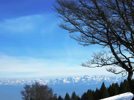 2011-02 Vercors - moyen