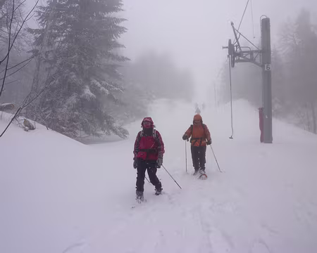 09 on descend sur la trace du téléski de la Sure