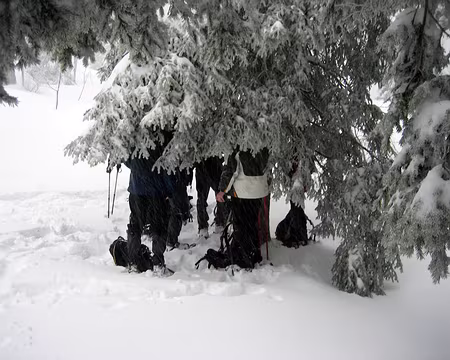 12 Nouveau jeu des organisateurs : Deviner qui est qui