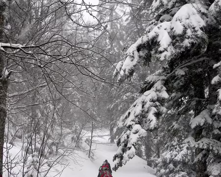 PXL000 Autrans - Sous une fraîche poudreuse de 30 cm