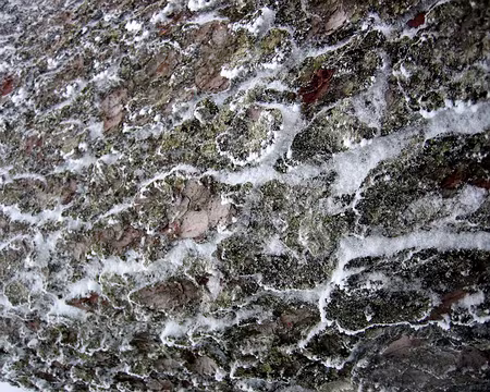 PXL023 Tableau naturel