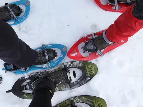 Philippe Philippe C, détail sortie