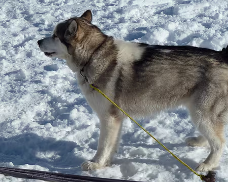 PXL011z2280 L'est-y pas beau quand même !!!