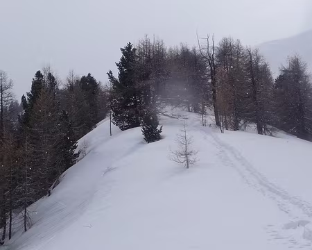 009 Crête de Curlet