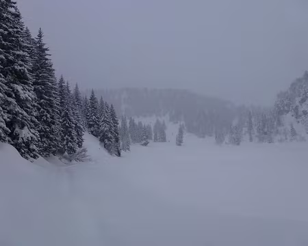 PXL009 Le lac - truite fario et arc-en-ciel, perche et chevesne