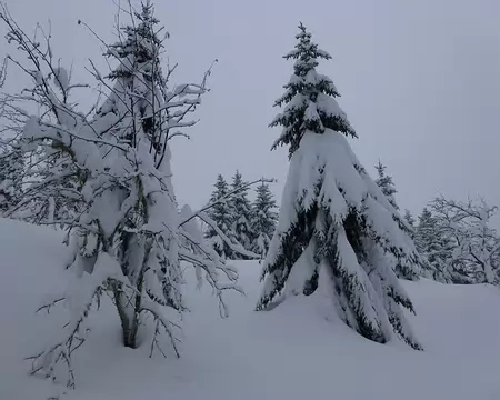 PXL036 La neige toujours plus abondante