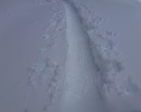 PXL055 Hommage au traceur