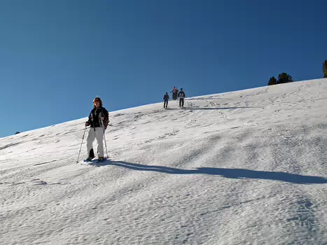 Jean Jean D, détail sortie