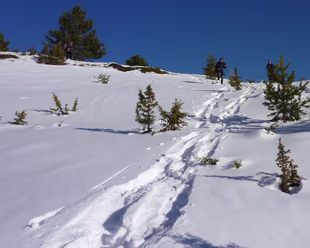 PXL019 Attention, descente de randonneurs !