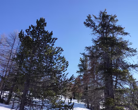 PXL029 Descente hors sentier...