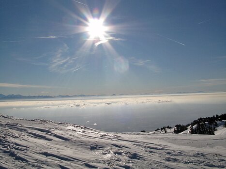 Jean Jean D, détail sortie