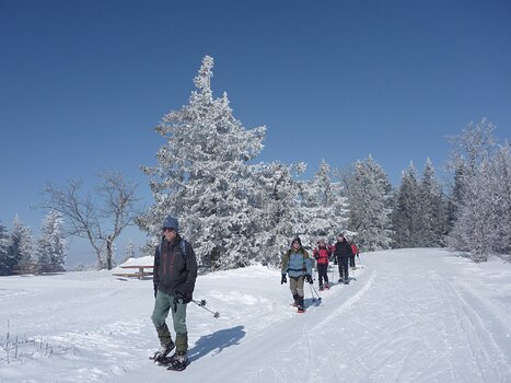 Xavier Xavier L, détail sortie