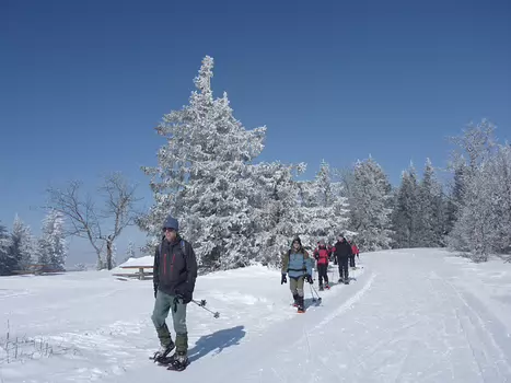 Xavier Xavier L, détail sortie