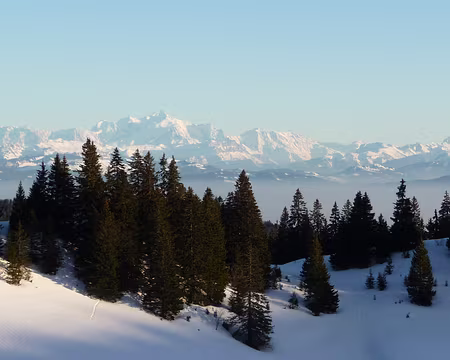 014 Vue sur le Mont Blanc