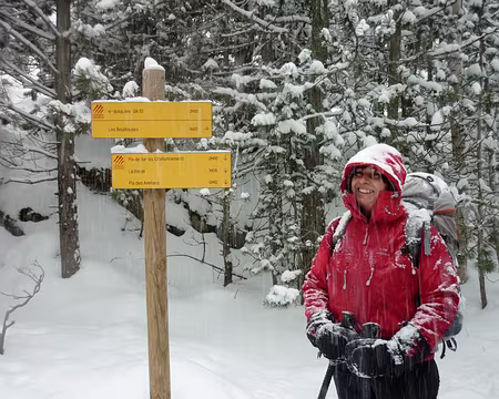 PXL008z2289 Bernadette, qui semble contente de trouver un panneau