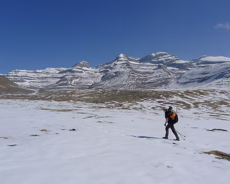 017 Pas encore de quoi chausser les raquettes...