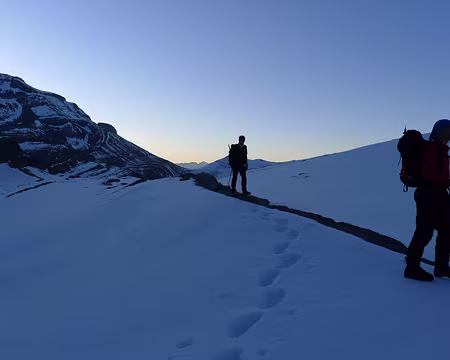 060 Paysage enneigé, avant le lever du soleil.