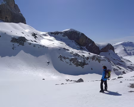 076z2291 En admiration !