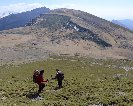 096 Ne pas tomber dans les touffes piquantes !