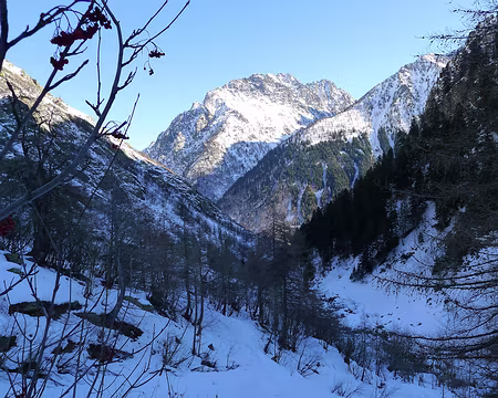 PXL023 Le vallon de Valasco.
