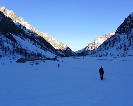 PXL037 Retour au refuge.