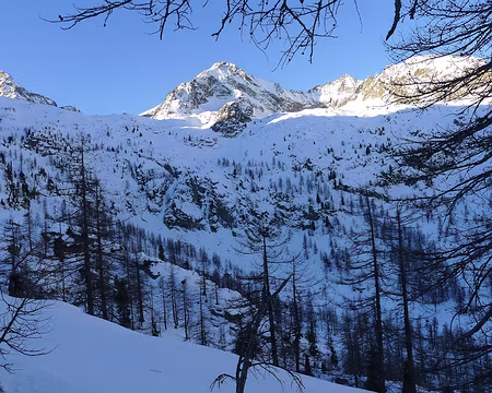 PXL039 Puisque le soleil ne vient pas à nous, nous allons à lui !