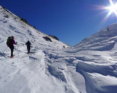 PXL044 Enfin au soleil !