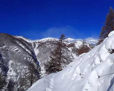 PC080006 La neige, le soleil et le ciel bleu sont là