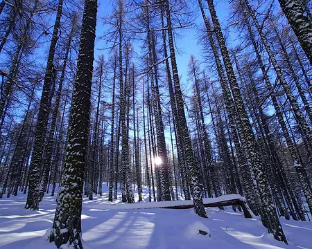 PC080024z2295 Magie...