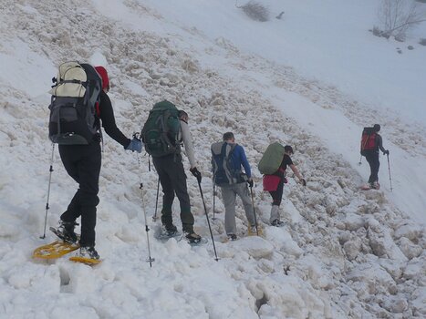 Patrice Patrice M, détail sortie