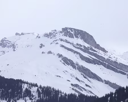 IMG_9907 Le Rocher du Vent