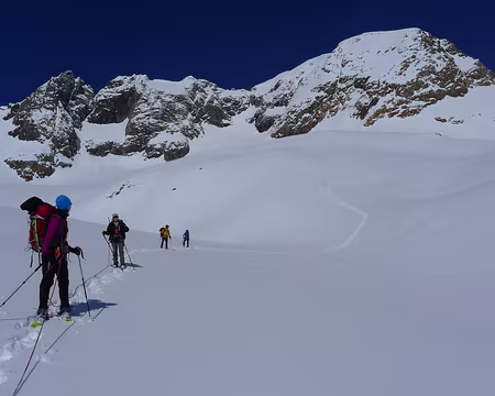 PXL014 Trace esthétique sur la neige vierge recouvrant le glacier.