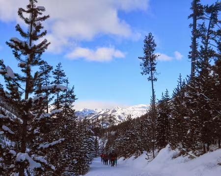 PXL011 Sur le retour