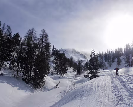 PXL041 Vers le Col de l'Izoard