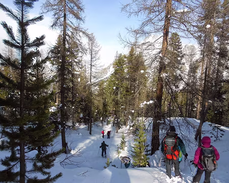 PXL049 Descente du Col de l'Izoard par le sentier de la Mule.