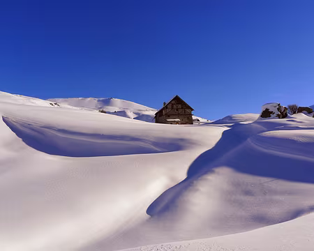 PXL012 Ombres et lumières, sous le hameau de la Chau.