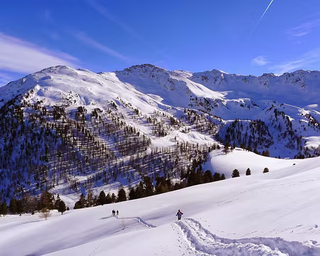 PXL023 Le bonheur de fouler une neige vierge !
