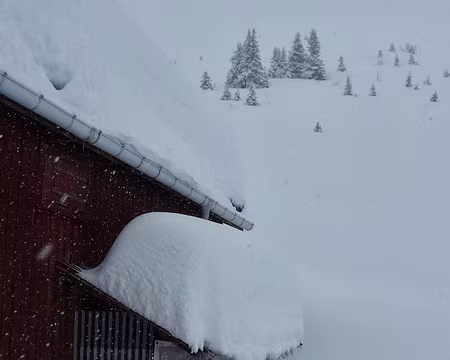 PXL001 Neige fraîche à volonté : On ne mourra pas de soif