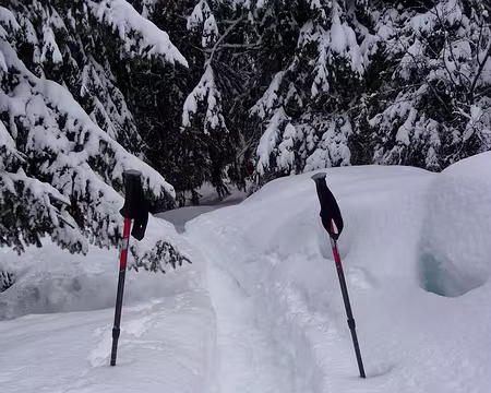 PXL021 Là où JC passe, la neige trépasse !