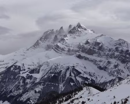 PXL036 Les Dents Blanches ?