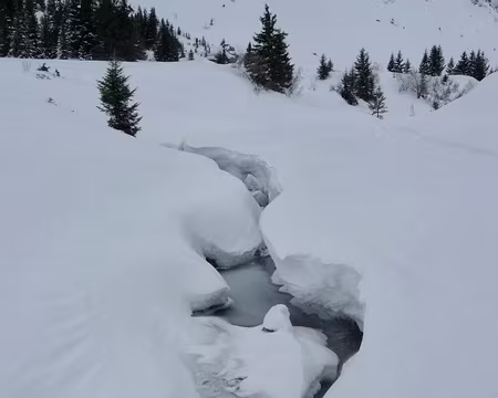 PXL043 Vers le Plateau de Barme